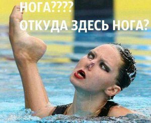 FB_IMG_1446880166250.jpg (1613 просмотров) <a class='original' href='./download/file.php?id=62975&mode=view' target=_blank>Загрузить оригинал (28.46 КБ)</a>