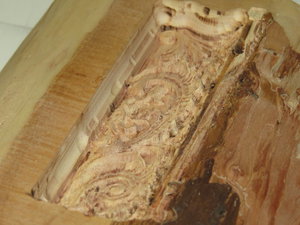 IMG_0318.JPG (6426 просмотров) <a class='original' href='./download/file.php?id=63418&mode=view' target=_blank>Загрузить оригинал (2.84 МБ)</a>