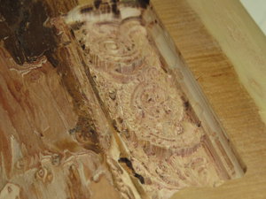 IMG_0319.JPG (6426 просмотров) <a class='original' href='./download/file.php?id=63419&mode=view' target=_blank>Загрузить оригинал (2.89 МБ)</a>