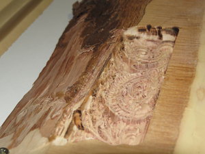 IMG_0320.JPG (6426 просмотров) <a class='original' href='./download/file.php?id=63420&mode=view' target=_blank>Загрузить оригинал (2.78 МБ)</a>