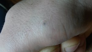 20151122_202325.jpg (3003 просмотра) <a class='original' href='./download/file.php?id=64181&mode=view' target=_blank>Загрузить оригинал (1.22 МБ)</a>