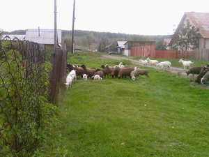 Photo-0047.jpg (2760 просмотров) <a class='original' href='./download/file.php?id=64434&mode=view' target=_blank>Загрузить оригинал (339.08 КБ)</a>