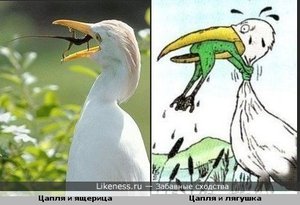 1334041906.jpg (2109 просмотров) <a class='original' href='./download/file.php?id=65165&mode=view' target=_blank>Загрузить оригинал (39.7 КБ)</a>