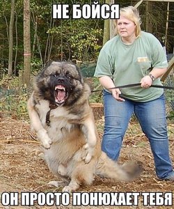 -QsWt_CHiMQ.jpg (2039 просмотров) <a class='original' href='./download/file.php?id=65334&mode=view' target=_blank>Загрузить оригинал (105.93 КБ)</a>