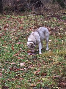 image.jpg (2027 просмотров) <a class='original' href='./download/file.php?id=65347&mode=view' target=_blank>Загрузить оригинал (480.58 КБ)</a>