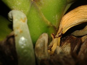 20151218_014448.jpg (3481 просмотр) <a class='original' href='./download/file.php?id=66396&mode=view' target=_blank>Загрузить оригинал (1.1 МБ)</a>