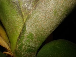 20151218_014912.jpg (3481 просмотр) <a class='original' href='./download/file.php?id=66398&mode=view' target=_blank>Загрузить оригинал (1.72 МБ)</a>