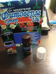 20151218_190341.jpg (3302 просмотра) <a class='original' href='./download/file.php?id=66441&mode=view' target=_blank>Загрузить оригинал (2.05 МБ)</a>