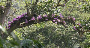 8c8827096901.jpg (2662 просмотра) <a class='original' href='./download/file.php?id=66625&mode=view' target=_blank>Загрузить оригинал (126.41 КБ)</a>