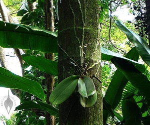 aaadb330fe8f.jpg (2662 просмотра) <a class='original' href='./download/file.php?id=66626&mode=view' target=_blank>Загрузить оригинал (179.7 КБ)</a>