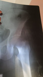 IMG-20151217-WA0005.jpeg (1518 просмотров) <a class='original' href='./download/file.php?id=66720&mode=view' target=_blank>Загрузить оригинал (232.26 КБ)</a>