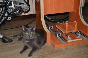 DSC_0491_.jpg (3915 просмотров) <a class='original' href='./download/file.php?id=66940&mode=view' target=_blank>Загрузить оригинал (101.19 КБ)</a>