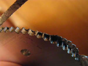 IMG_3308.JPG (2398 просмотров) <a class='original' href='./download/file.php?id=67490&mode=view' target=_blank>Загрузить оригинал (4.16 МБ)</a>