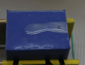 IMG_7432.jpg (9908 просмотров) <a class='original' href='./download/file.php?id=67712&mode=view' target=_blank>Загрузить оригинал (144.98 КБ)</a>