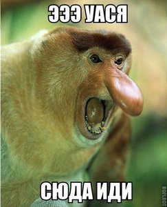 SL0DyktlWAw.jpg (2011 просмотров) <a class='original' href='./download/file.php?id=68098&mode=view' target=_blank>Загрузить оригинал (32.78 КБ)</a>