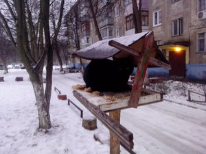 IMG_20140106_101047.jpg (8450 просмотров) <a class='original' href='./download/file.php?id=68525&mode=view' target=_blank>Загрузить оригинал (536.55 КБ)</a>