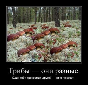 8097987789609.jpg (2258 просмотров) <a class='original' href='./download/file.php?id=68816&sid=e062210868256355322a932fcb93e035&mode=view' target=_blank>Загрузить оригинал (77.17 КБ)</a>