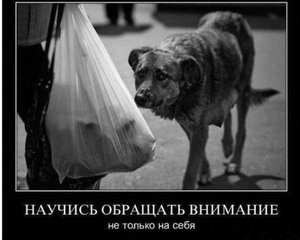 ljh9087987.jpg (2258 просмотров) <a class='original' href='./download/file.php?id=68817&sid=e062210868256355322a932fcb93e035&mode=view' target=_blank>Загрузить оригинал (40.5 КБ)</a>