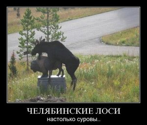 766163.jpg (1549 просмотров) <a class='original' href='./download/file.php?id=69044&mode=view' target=_blank>Загрузить оригинал (66.6 КБ)</a>