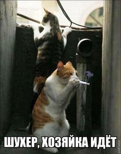 16165165.jpg (2405 просмотров) <a class='original' href='./download/file.php?id=69467&mode=view' target=_blank>Загрузить оригинал (44.18 КБ)</a>