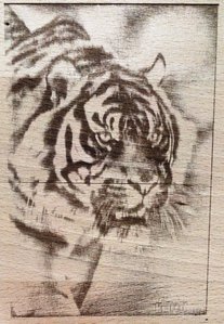 IMG_20160121_172312.jpg (19869 просмотров) <a class='original' href='./download/file.php?id=69493&mode=view' target=_blank>Загрузить оригинал (2.05 МБ)</a>