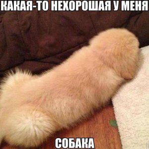 PblA9Iyzjyk.jpg (2296 просмотров) <a class='original' href='./download/file.php?id=69522&mode=view' target=_blank>Загрузить оригинал (64.96 КБ)</a>