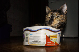 _DSC7260.jpg (3990 просмотров) <a class='original' href='./download/file.php?id=69927&mode=view' target=_blank>Загрузить оригинал (822.53 КБ)</a>