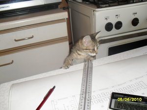 SDC10353.JPG (3978 просмотров) <a class='original' href='./download/file.php?id=69935&mode=view' target=_blank>Загрузить оригинал (2.62 МБ)</a>