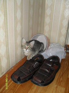 SDC10430.JPG (3978 просмотров) <a class='original' href='./download/file.php?id=69936&mode=view' target=_blank>Загрузить оригинал (2.57 МБ)</a>