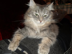 SDC12177.JPG (3978 просмотров) <a class='original' href='./download/file.php?id=69937&mode=view' target=_blank>Загрузить оригинал (2.59 МБ)</a>