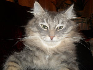 SDC12178.JPG (3978 просмотров) <a class='original' href='./download/file.php?id=69938&mode=view' target=_blank>Загрузить оригинал (2.51 МБ)</a>