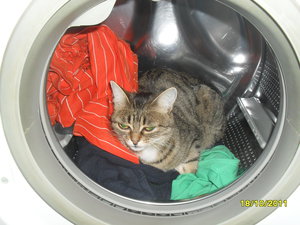 SDC14471.JPG (3978 просмотров) <a class='original' href='./download/file.php?id=69939&mode=view' target=_blank>Загрузить оригинал (2.6 МБ)</a>