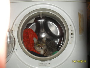 SDC14473.JPG (3978 просмотров) <a class='original' href='./download/file.php?id=69940&mode=view' target=_blank>Загрузить оригинал (2.62 МБ)</a>