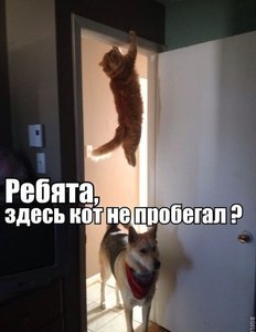 8921984.jpg (1497 просмотров) <a class='original' href='./download/file.php?id=69958&mode=view' target=_blank>Загрузить оригинал (42.45 КБ)</a>