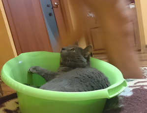 DSC_0805.JPG (3931 просмотр) <a class='original' href='./download/file.php?id=70145&mode=view' target=_blank>Загрузить оригинал (1.38 МБ)</a>