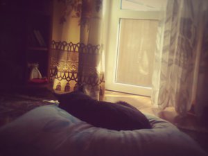 Фото0609-2.jpg (3931 просмотр) <a class='original' href='./download/file.php?id=70147&mode=view' target=_blank>Загрузить оригинал (183.39 КБ)</a>