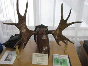 IMG_3432.JPG (11040 просмотров) <a class='original' href='./download/file.php?id=70517&mode=view' target=_blank>Загрузить оригинал (3.56 МБ)</a>