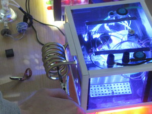 IMG_3444.JPG (11040 просмотров) <a class='original' href='./download/file.php?id=70529&mode=view' target=_blank>Загрузить оригинал (3.96 МБ)</a>