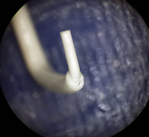 20160203_032826.jpg (5766 просмотров) <a class='original' href='./download/file.php?id=70601&mode=view' target=_blank>Загрузить оригинал (232.29 КБ)</a>