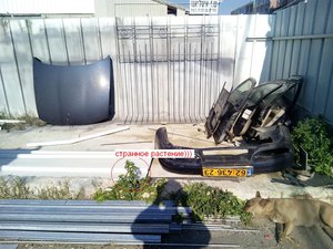 IMG_20160203_141131_s.jpg (2771 просмотр) <a class='original' href='./download/file.php?id=70646&mode=view' target=_blank>Загрузить оригинал (173.39 КБ)</a>