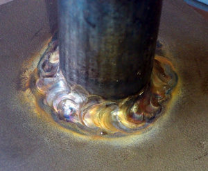 DSC_0495.jpg (3399 просмотров) <a class='original' href='./download/file.php?id=7125&mode=view' target=_blank>Загрузить оригинал (86.99 КБ)</a>