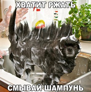 12376367_1040960072629427_2685046829844493311_n.jpg (1539 просмотров) <a class='original' href='./download/file.php?id=71538&mode=view' target=_blank>Загрузить оригинал (101.77 КБ)</a>