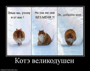котэ-демотиваторы-смешные-демотиваторы-52426.jpeg (2684 просмотра) <a class='original' href='./download/file.php?id=72081&mode=view' target=_blank>Загрузить оригинал (79.25 КБ)</a>