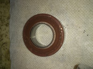 DSC_4232.jpg (7899 просмотров) <a class='original' href='./download/file.php?id=72320&mode=view' target=_blank>Загрузить оригинал (2.5 МБ)</a>