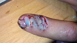 DSC_0507.jpg (5966 просмотров) <a class='original' href='./download/file.php?id=7238&mode=view' target=_blank>Загрузить оригинал (154.77 КБ)</a>