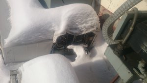 маслостанция (16075 просмотров) <a class='original' href='./download/file.php?id=72406&mode=view' target=_blank>Загрузить оригинал (2.69 МБ)</a>