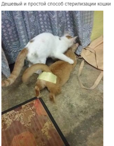 Screenshot - 17.02.2016 , 18_05_32.png (2378 просмотров) <a class='original' href='./download/file.php?id=72433&mode=view' target=_blank>Загрузить оригинал (288.71 КБ)</a>