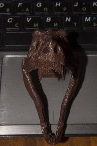 _DSC0128.JPG (2302 просмотра) <a class='original' href='./download/file.php?id=72682&mode=view' target=_blank>Загрузить оригинал (12.84 МБ)</a>