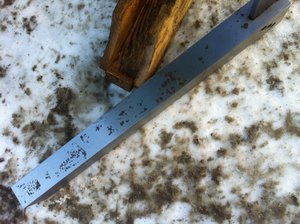 фото 2 (50).JPG (1977 просмотров) <a class='original' href='./download/file.php?id=73063&mode=view' target=_blank>Загрузить оригинал (596.17 КБ)</a>