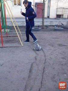 VV4appU1AnA.jpg (1665 просмотров) <a class='original' href='./download/file.php?id=74555&mode=view' target=_blank>Загрузить оригинал (72.21 КБ)</a>